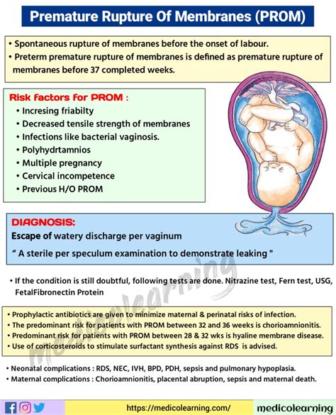 leaking amniotic fluid symptoms|Premature Rupture of Membranes: Causes & Treatment